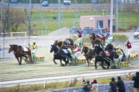 Banei Tokachi Obihiro Horse Race Track